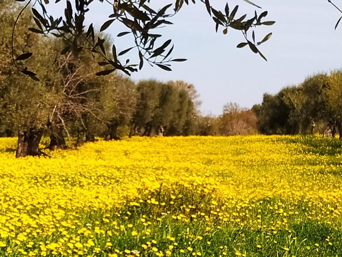 Masseria - Trulli Genius Loci Dimore Monopoli Luaran gambar